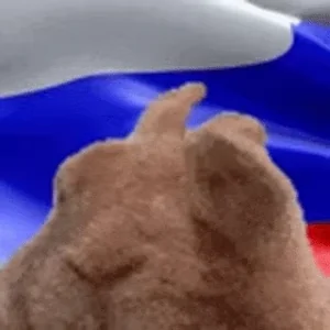Россия Кролик Танцует