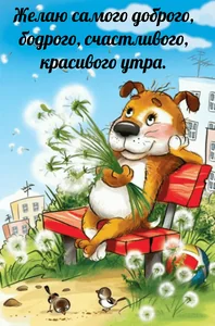 Доброе Утро
