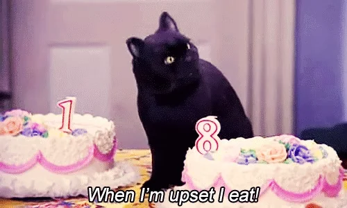 Торт Анимация Котик