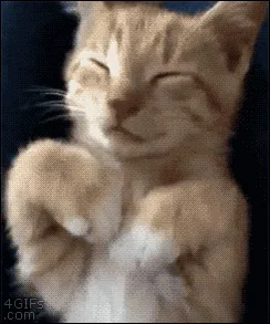 Oh No Facepalm