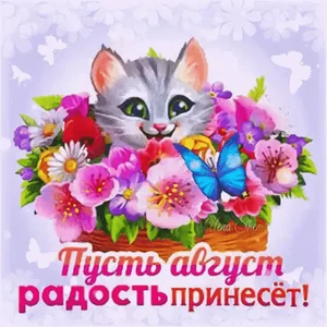 Лето Август