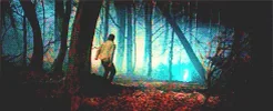 Гарри Поттер