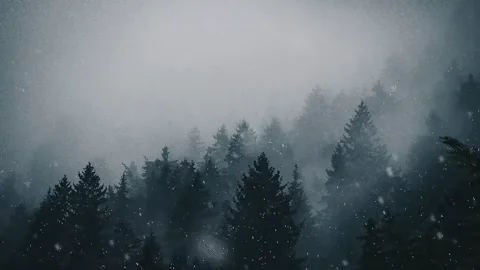 Snow Winter