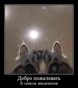 Иноагент Добро Пожаловать Кот