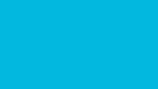 Типография Текст Flicker