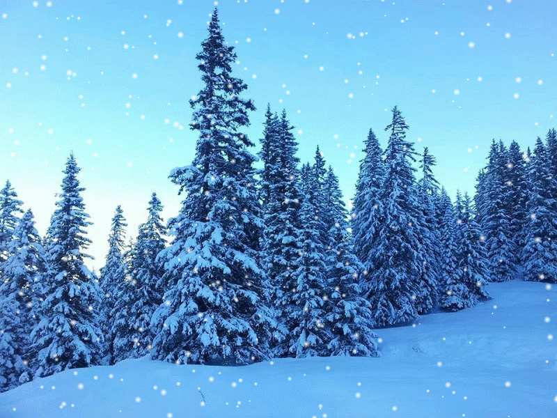 0d748383892e065022f1644ff62d210700628136e6859248326358ed25492d29.gif