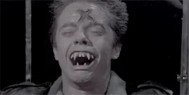 Fright Night 1985 Ужас Ужастик