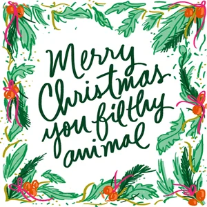 Merry Christmas You Filthy Animal Надпись
