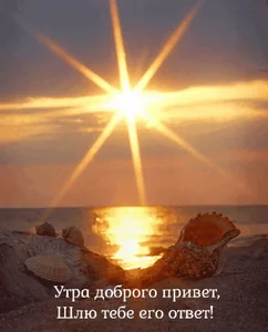 Доброе Утро