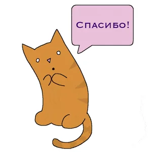 Спасибо Кот Котик