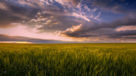 Деревня Природа Село