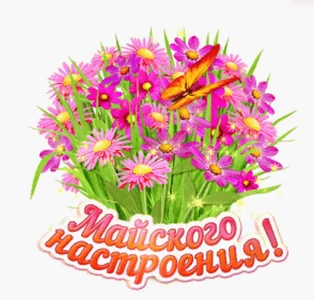 Май Цветы Полевые