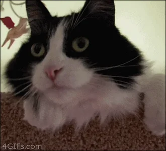 shocked not safe for work