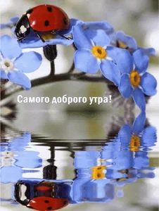 Доброе Утро