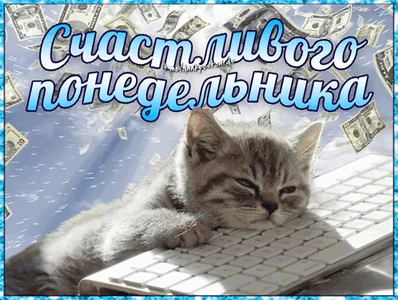 Понедельник Monday