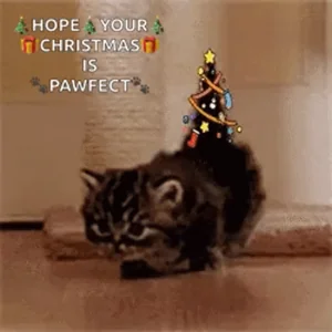 Christmas Cat Tree