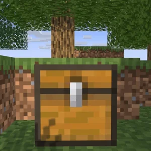 Chest