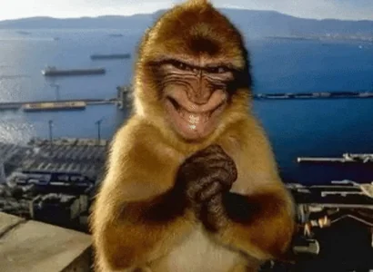 Monkey Smile