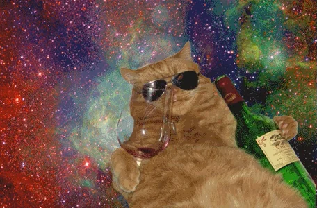 Cat Tripping