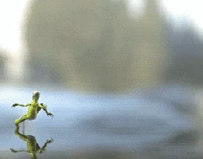 Animation Running