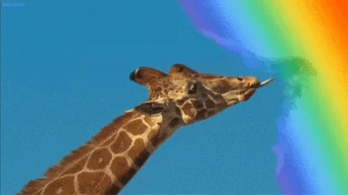 rainbow licking