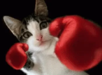 Котик Новыйгод Кот
