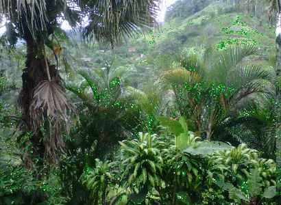 glitter jungle