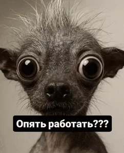 Работа Опять Работать Шок