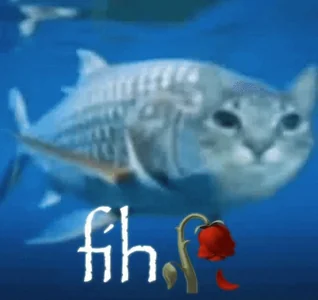 Cat Fish