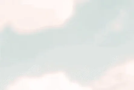 Sky Kid