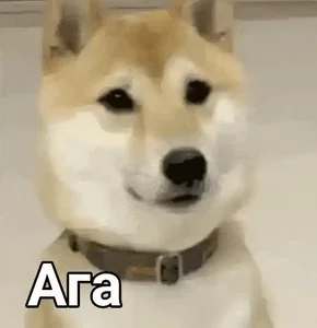 Ага Согласен Да