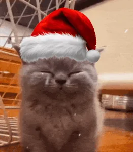 Котик Новыйгод Кот