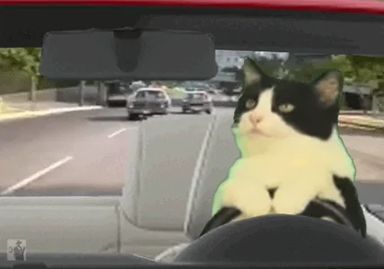 Кот Что За Машина
