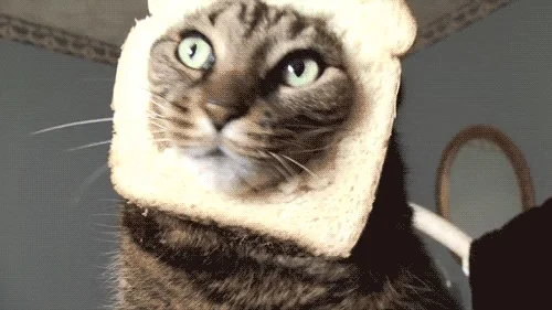 Улыбается Кот Смех