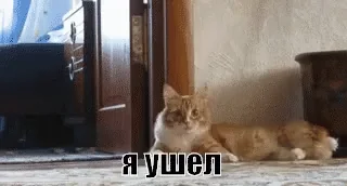 Я ушел Я ухожу Я пошел Кот Иду
