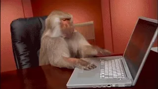 Обезьяна Работа Печатает