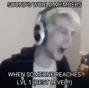 Sounds World Sound Level
