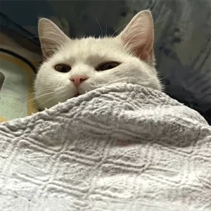 Tired Me Da Igual