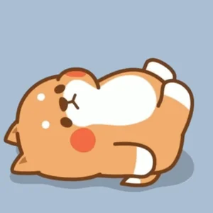 Tonton Friends Crunches
