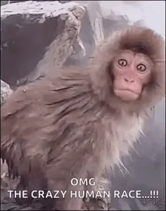 Monkey Omg Oh My Gosh