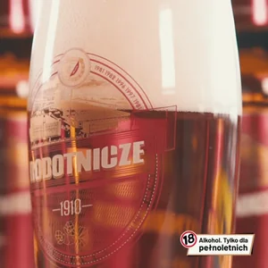 Widzew Lodz Widzewłódź