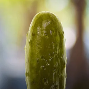 Соленый Огурец Dill With It Смирись С Этим
