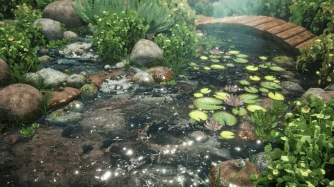 Koi Pond Landscape