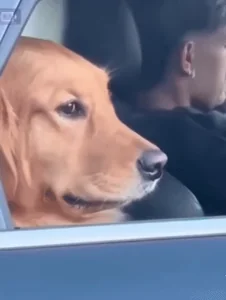 Peace Dont Talk To Me
