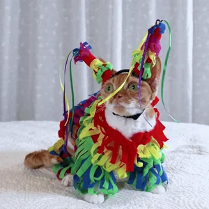 Cinco De Mayo Cat
