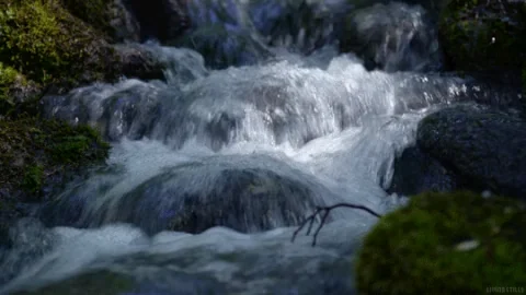 Живые Фотографии Водопад Природа