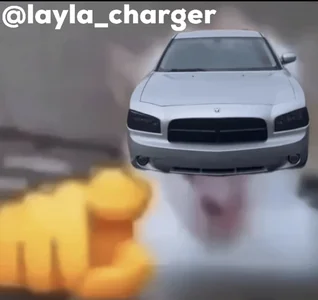 Point And Laugh