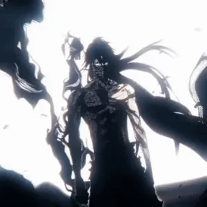 Bleach Memes