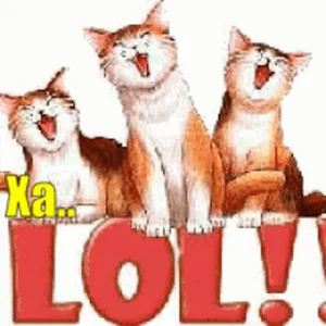 Xaxa Cat Laugh