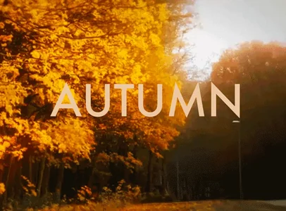 Fall Autumn